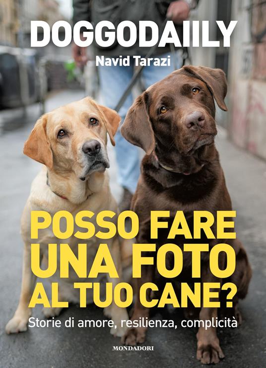 Posso fare una foto al tuo cane?