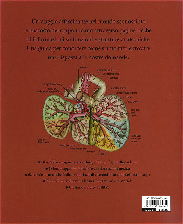 Atlante di anatomia