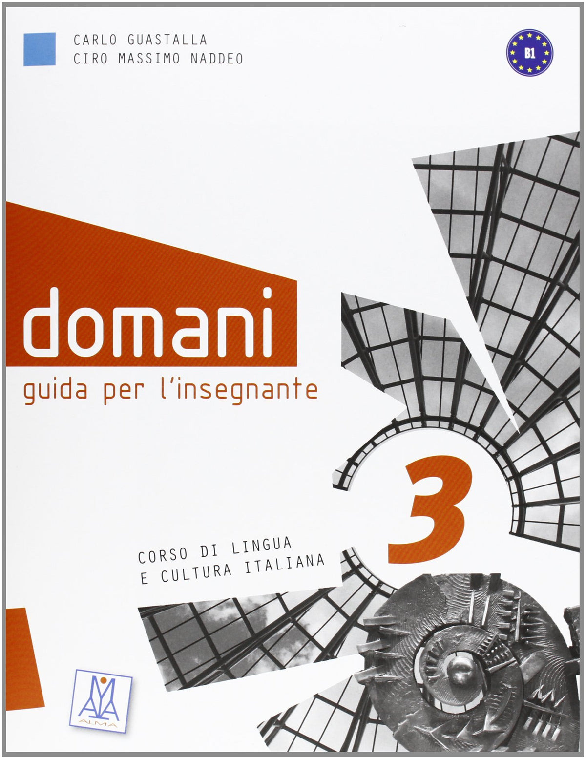 Domani 3 - guida per l&#39;insegnante