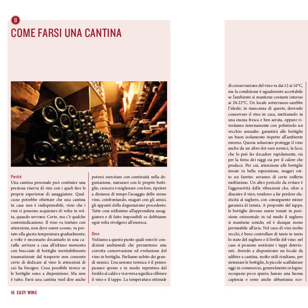 Easy wine. Guida facile ai vini italiani