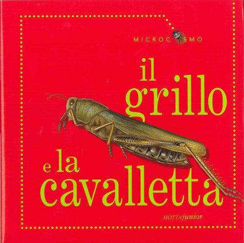 Il grillo e la cavalletta